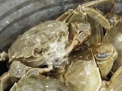 -仙螺岛海鲜自助餐厅(总店)