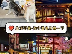 -大江户·温泉洗浴(浑南店)