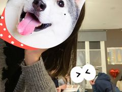 -面对面