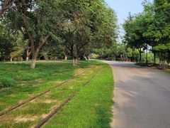 -永定河休闲森林公园