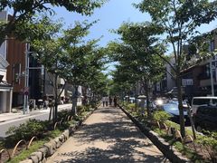 -镰仓 峰本(八幡宫前本店)