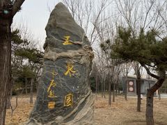 -北坞公园