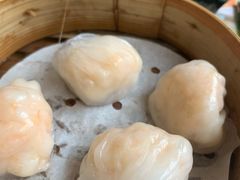 晶莹鲜虾饺-添好运点心专门店(北角店)