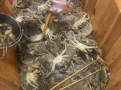 -初色海鲜自助(万丰路店)
