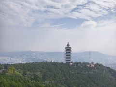 -原山国家森林公园