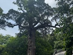 -青岛崂山太清宫