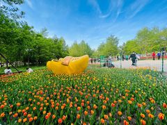 -长春公园(普阳街道)