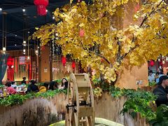 -老滇山寨•云南特色菜•地方菜•民族风情歌舞表演(金碧店)