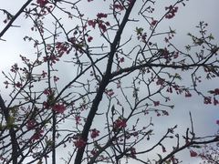 -广东外语外贸大学(白云山校区)