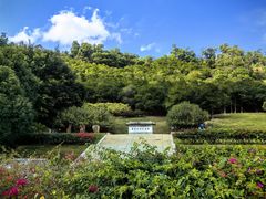 -深圳仙湖植物园