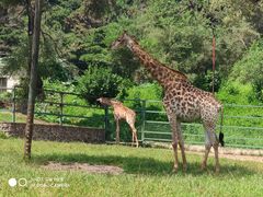 -沈阳森林动物园
