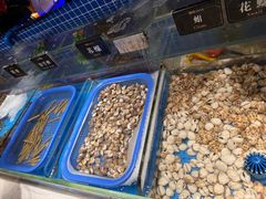-加餐海鲜自助(宝龙一城店)