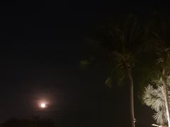 -宴悦海鲜餐厅·游水海鲜·牛排(亚龙湾瑞吉店)