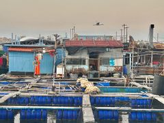 -蓝湾碧波·老字号·疍家非遗海上餐厅