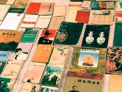 -桂林市花鸟市场