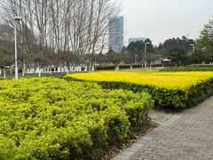 -白塘生态植物园