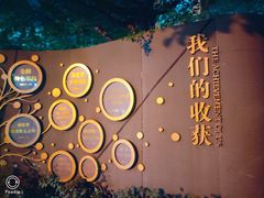 -厦门市松柏小学