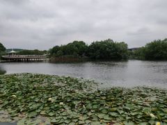 -新江湾城公园