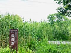 -长田漾湿地公园