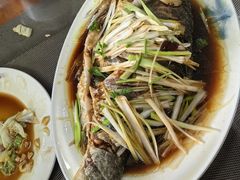 -微山岛春天里酒家