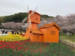 -苏州上方山国家森林公园