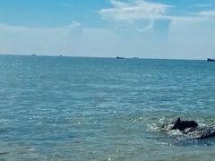 -小梅沙海滨乐园