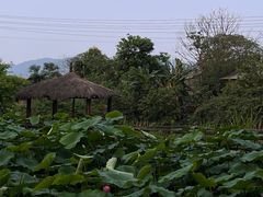 -驿舍·民國老营房院子私房菜(科学会堂店)