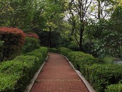 -贮水山儿童公园