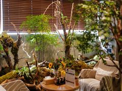 -森SPA·泰式按摩·精油Massage(宝安中心店)