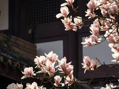-成都杜甫草堂博物馆