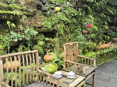 -青城甲(青城山店)