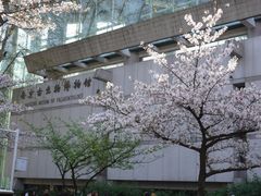 -鸡鸣赐茶(鸡鸣寺路店)