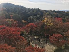 -有栖山 清光院 清水寺