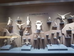 -大庆市博物馆