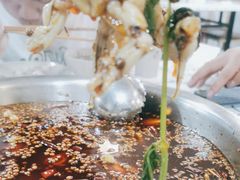 -品鱻黑豆花美蛙鱼(西政店)
