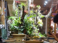 -多哥水傣味餐厅(司马巷店)