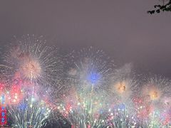 -武昌江滩