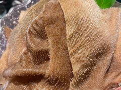 -王家渡火锅(金宝汇店)