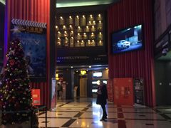 -万达影城(锦华万达广场IMAX店)