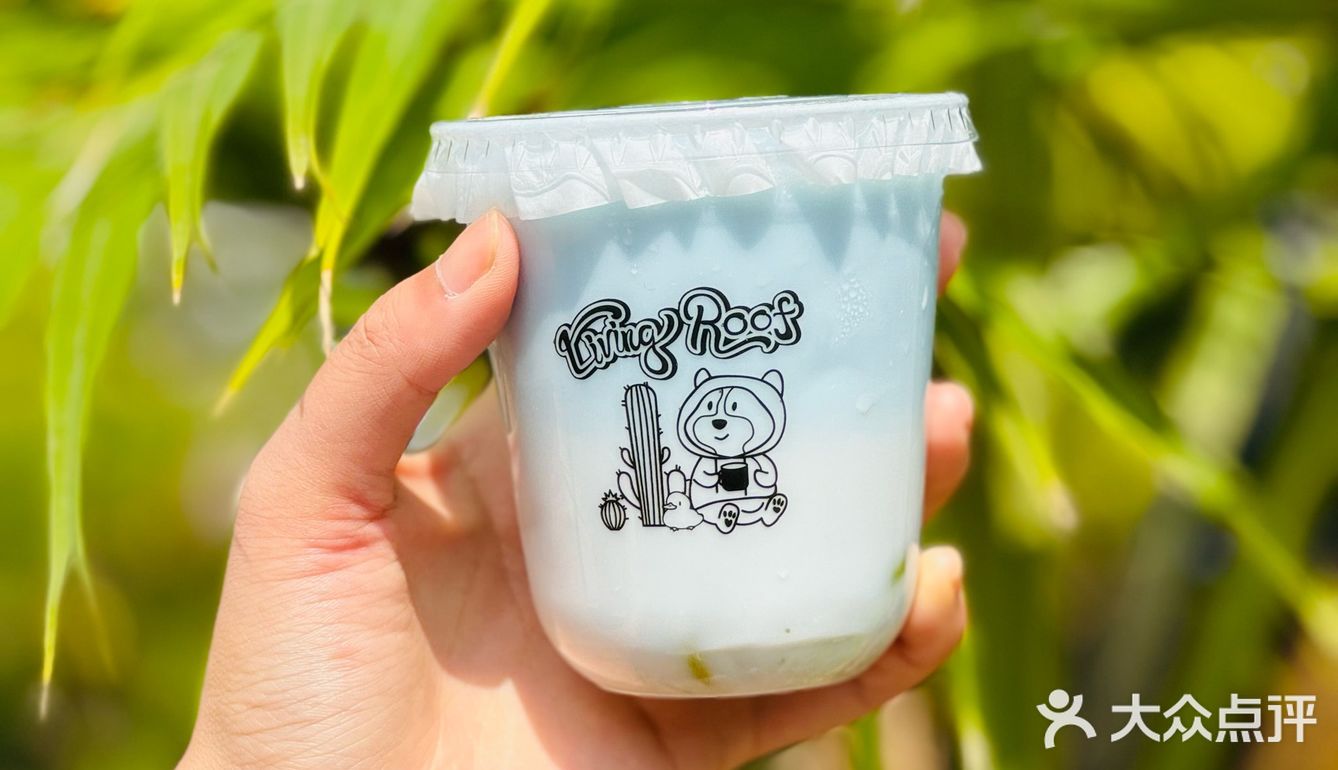 别问了就在南京！超出片的天台咖啡！