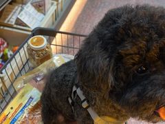 -MARSMART PETS火星宠物超市(1733店)
