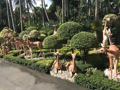 -东芭乐园
