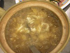 -大中鱼翅 Taitong Shark Fin
