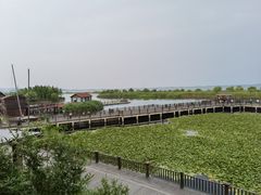 -新木器时代餐厅(太湖新天地店)