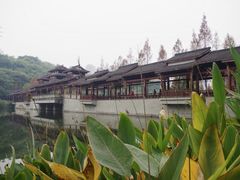 -重庆彩云湖湿地公园