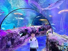 -沈阳海洋探索中心