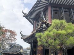 -碧江金楼