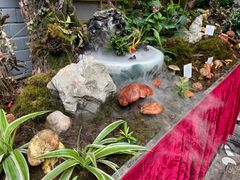 -蔼若春.传承三十年云南菜(金碧公园店)