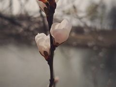 -坝河休闲公园