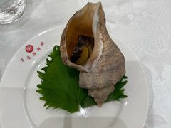 海螺肉-万宝海鲜舫(劳动公园店)